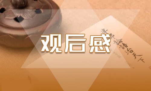 2022春季开学第一课观后感700字